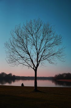 A peaceful scene with a leafless tree and person by a lake during dusk in Germany.