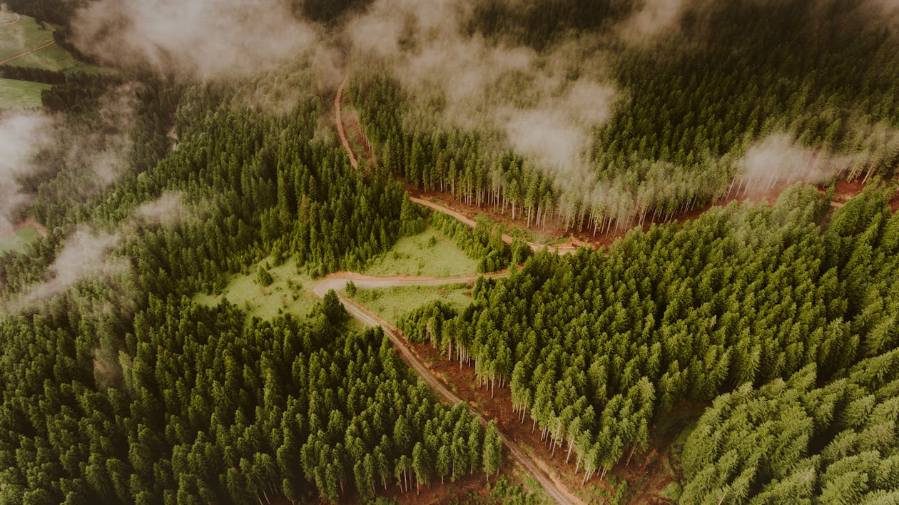 Drone view of narrow curvy roadway going through lush green forest of hill slope on cloudy day