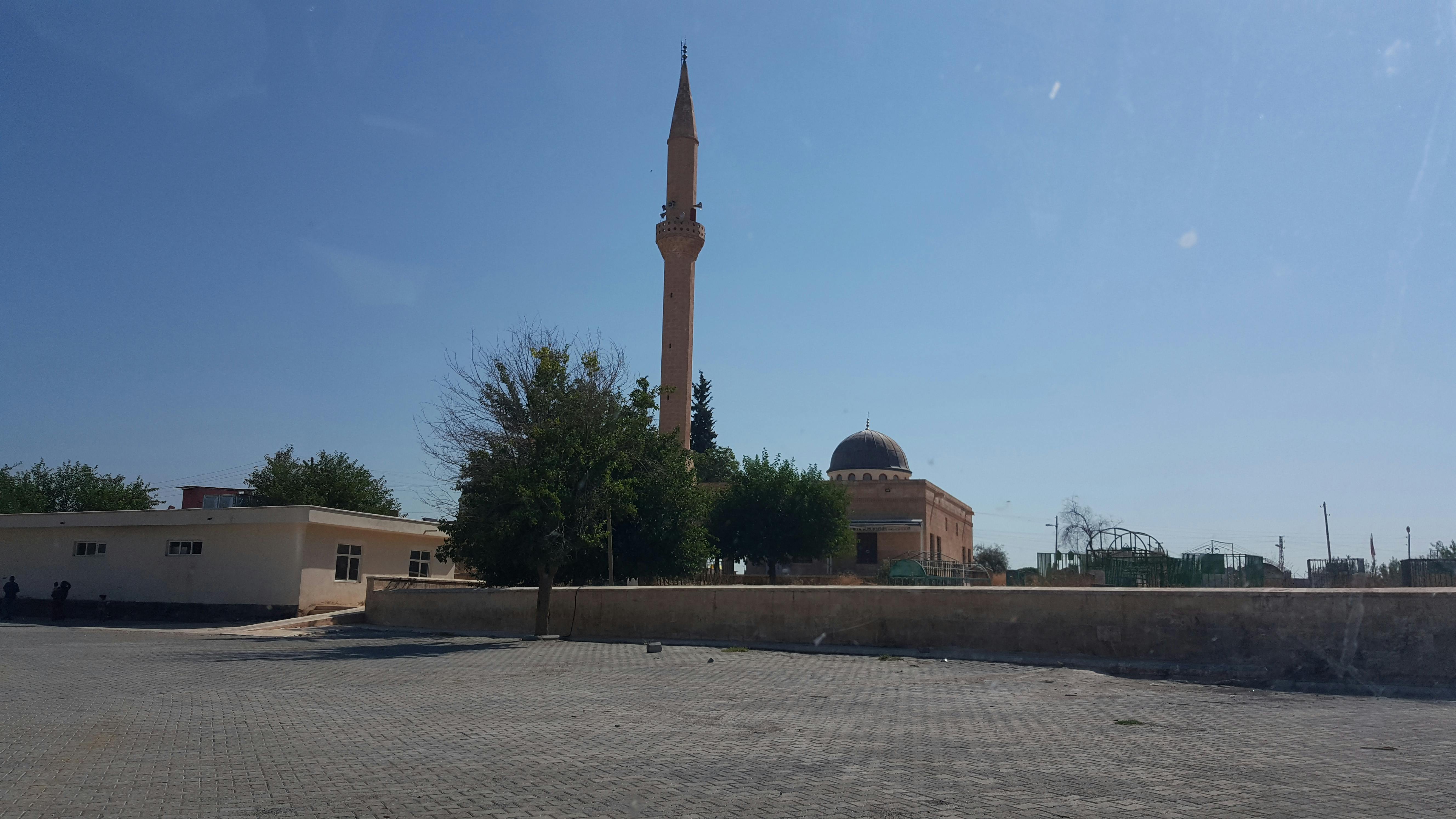 Astrology chart and tarot cards laid out on a table with candles