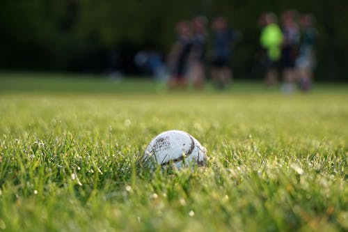 White Soccer Ball on Green Grass Field