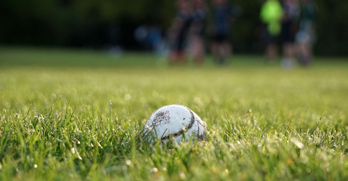 Focused shot of a hurling ball on a grass field, with a blurred background of players in Hamburg.