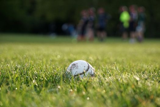 White Soccer Ball on Green Grass Field