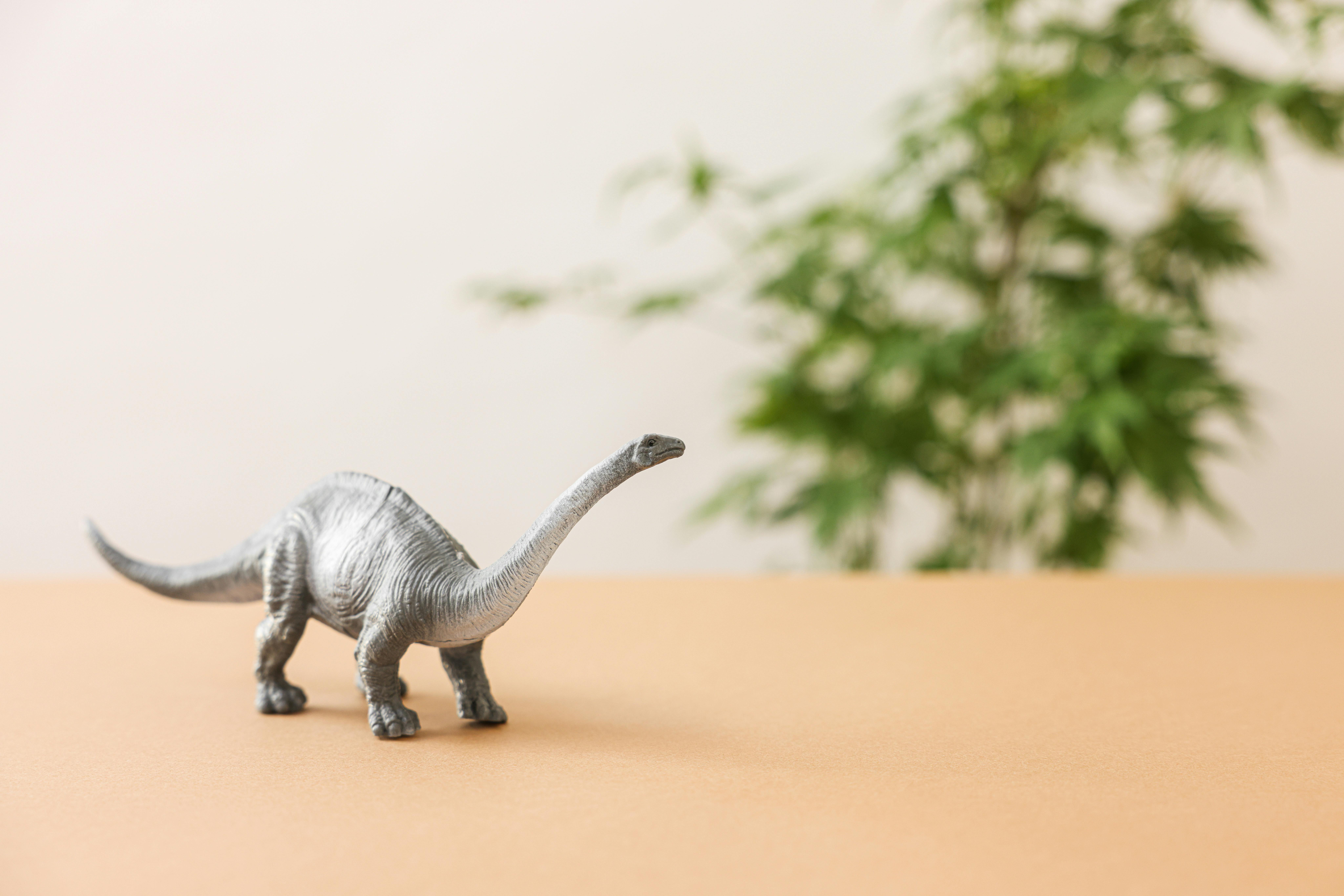 The Dinosaur Parenting Secret That Could Change Everything We Know About the Mesozoic — Photo by Cup of  Couple on Pexels
