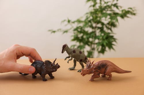 คลังภาพถ่ายฟรี ของ triceratops, การเล่น, ของเล่น