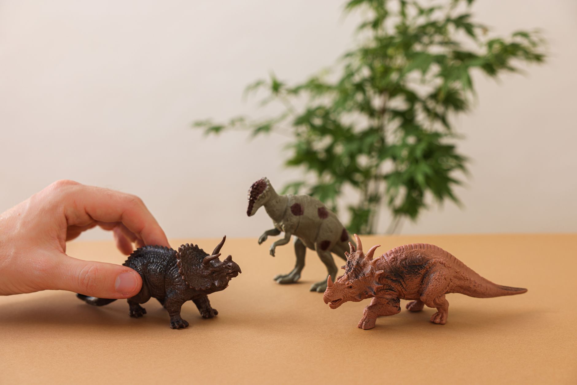 Stegosaurus