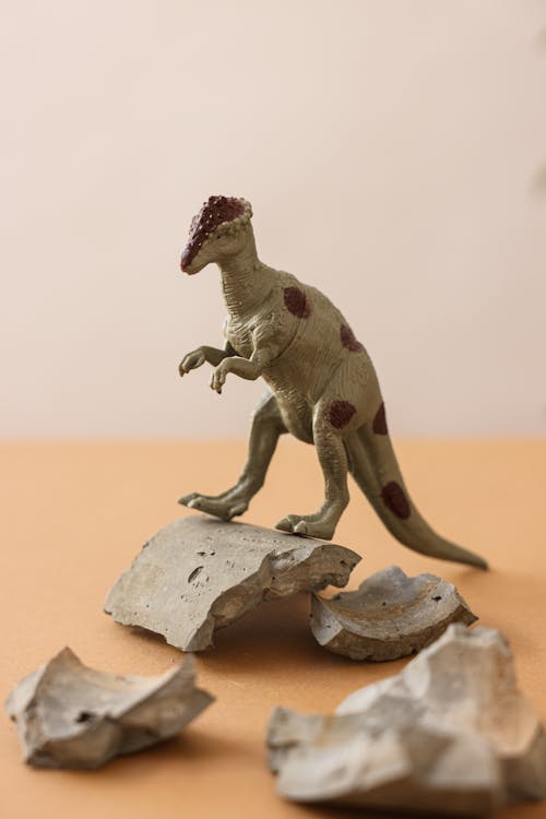 Kostenloses Stock Foto zu ausgestorben, dinosaurier, figuren