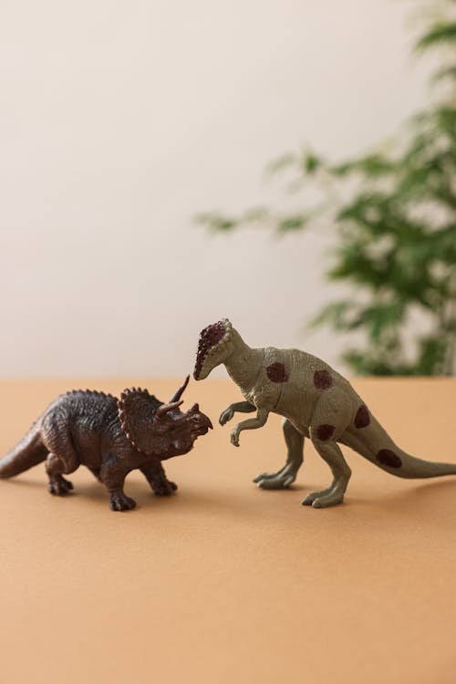 คลังภาพถ่ายฟรี ของ triceratops, การถ่ายภาพหุ่นนิ่ง, ของเล่น