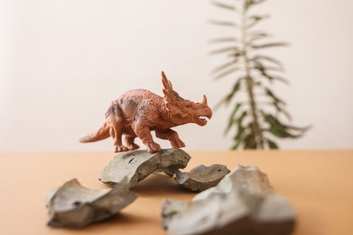 Free Close-up of a triceratops plastic toy on rocks, evoking a prehistoric scene; ideal for playful and educational themes. Stock Photo