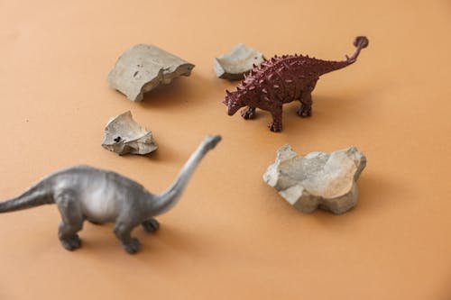 Foto stok gratis beton, dinosaurus, latar belakang krem