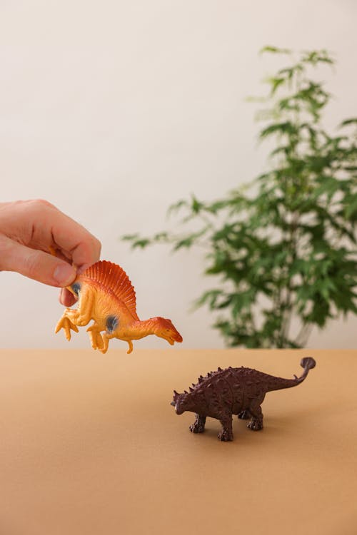 Gratis Immagine gratuita di dinosauri, giocattoli, giocattoli animali Foto a disposizione