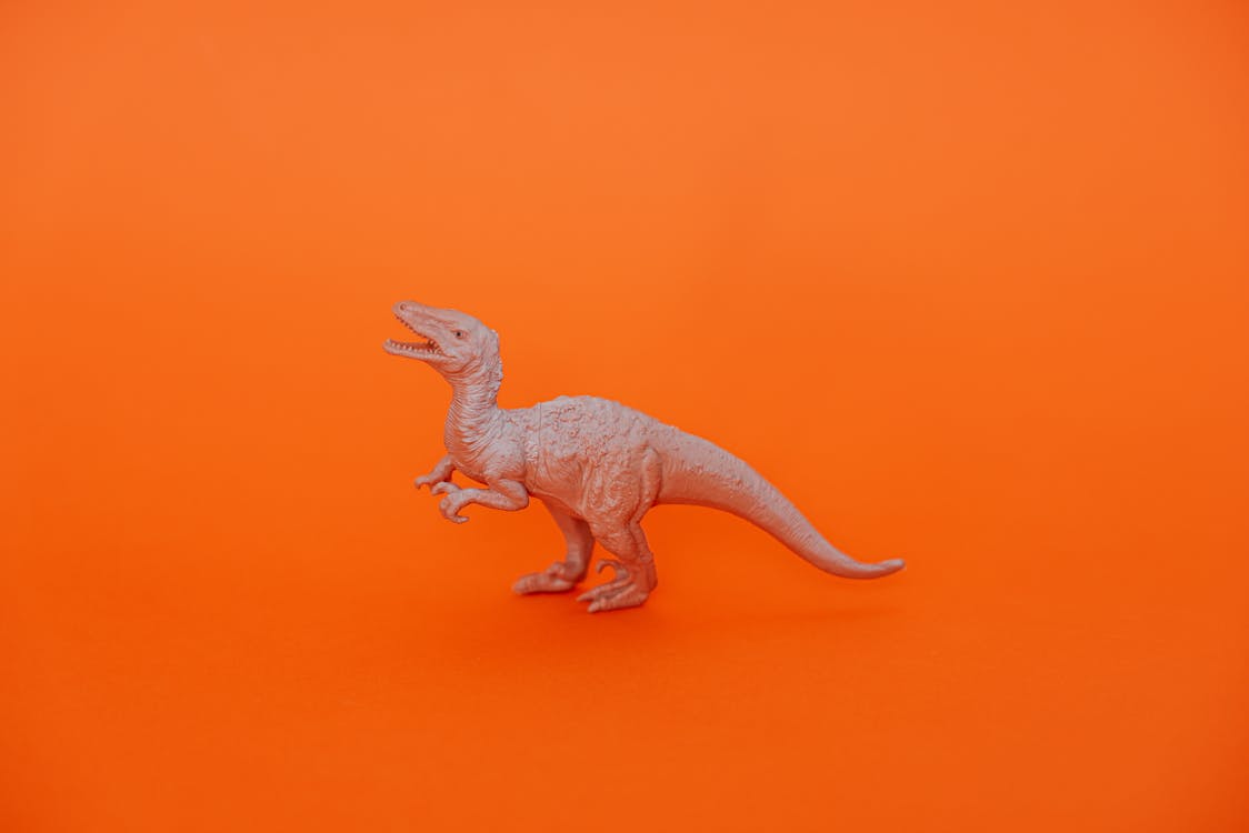 Бесплатное стоковое фото с orange_background, веселье, динозавр