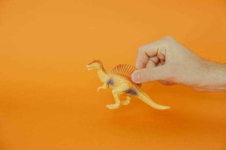 A Person Holding A Spinosaurus Dinosaur Toy 