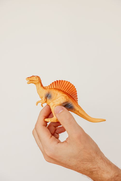 Free A hand holding a plastic Spinosaurus toy against a neutral background. Stock Photo