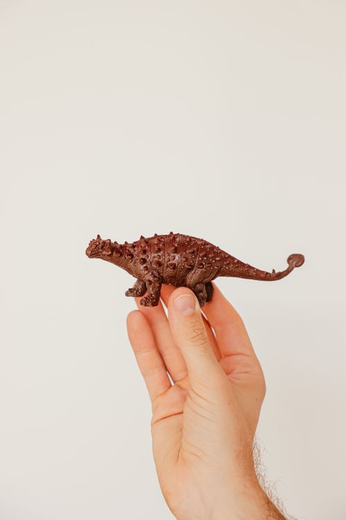 Free A close-up shot of a hand holding a toy dinosaur on a plain white background. Stock Photo