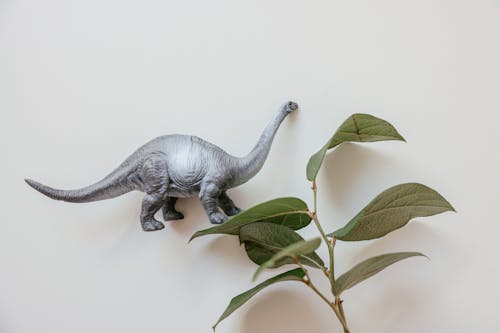 Бесплатное стоковое фото с белый фон, динозавр, игрушка