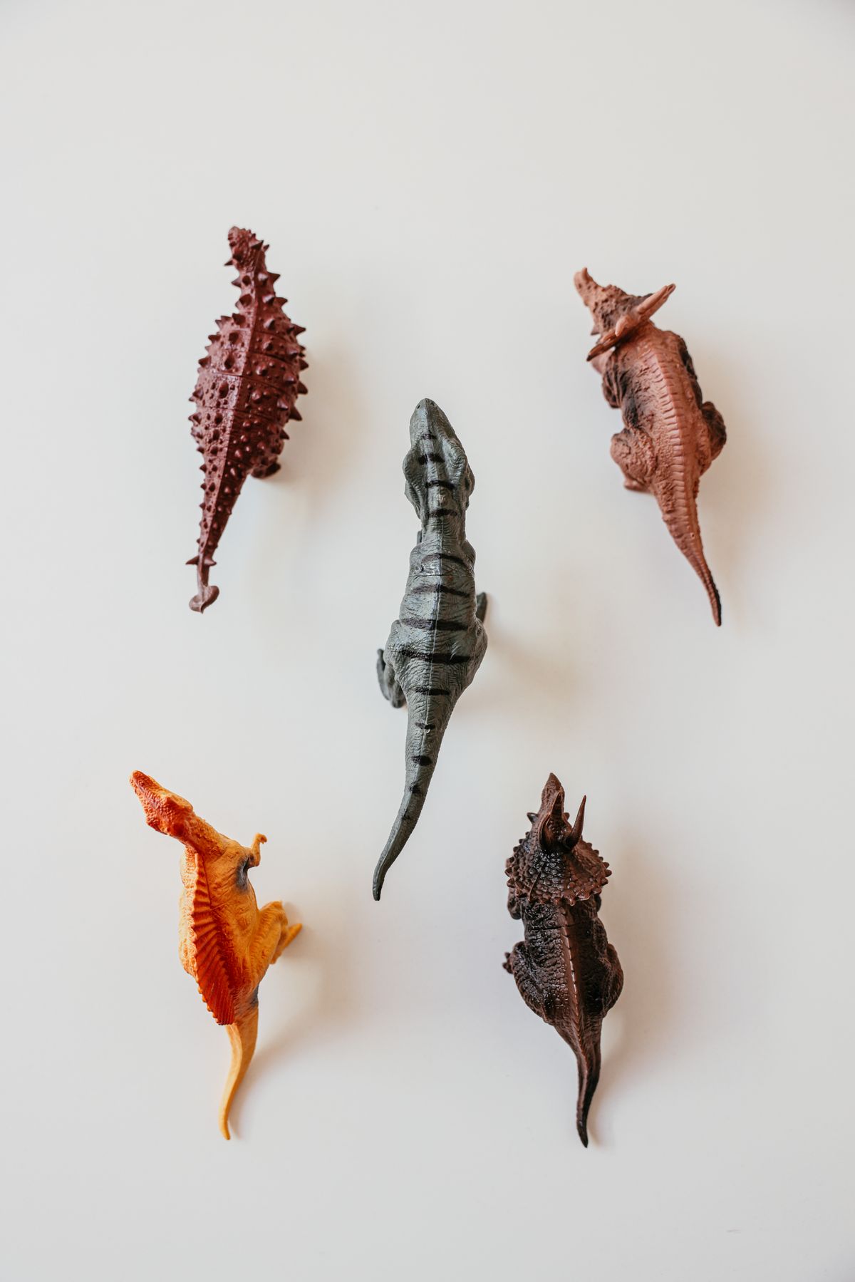 Dinosaur Figure Set