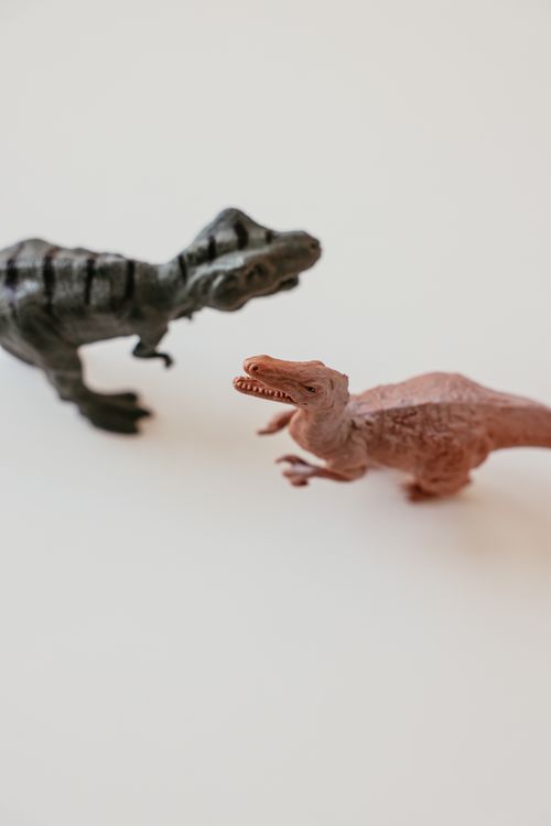 Free Two dinosaur toys, a T-Rex and a Velociraptor, on a clean white surface. Stock Photo