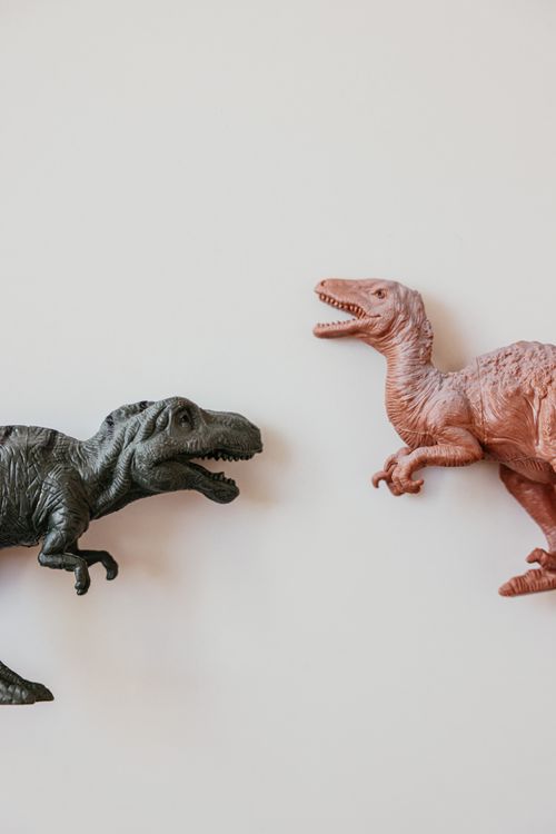 Free Plastic dinosaur toys displayed creatively against a simple backdrop. Stock Photo
