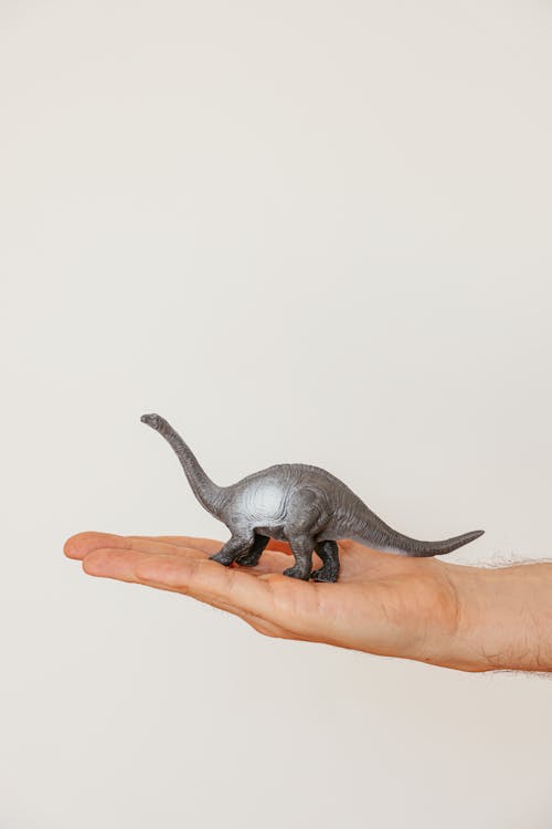 A Person Holding a Dinosaur Figurine