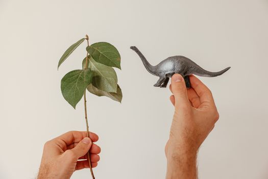 evolution