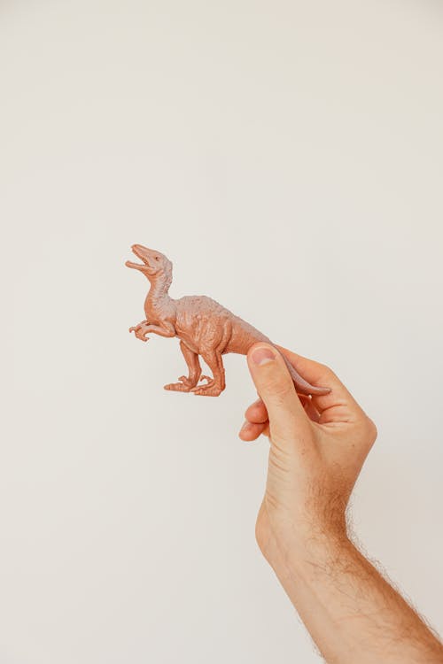 Person Holding Brown Dinosaur Plastic Toy