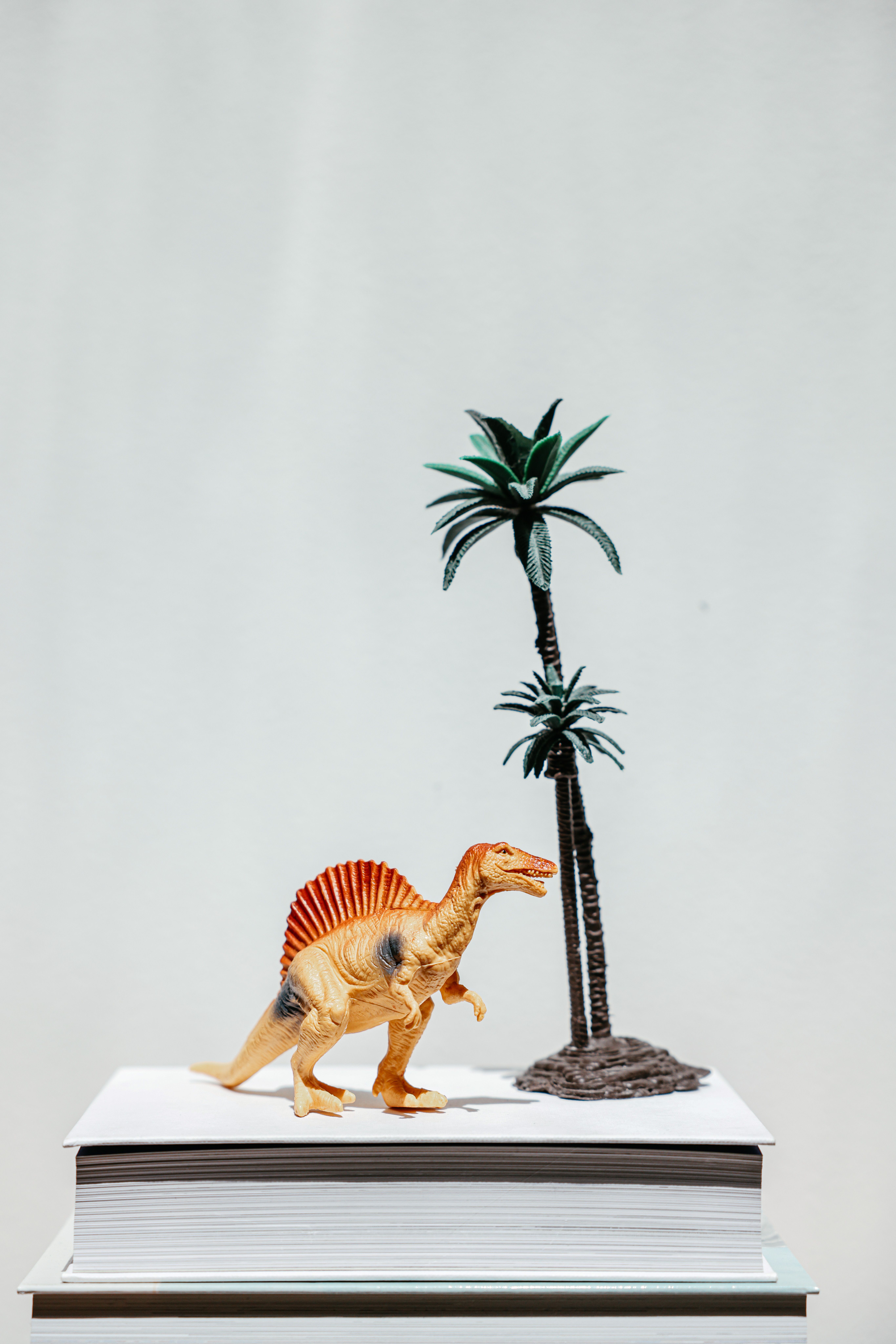 A dinosaur toy stands on books next to a palm tree against a white backdrop.
