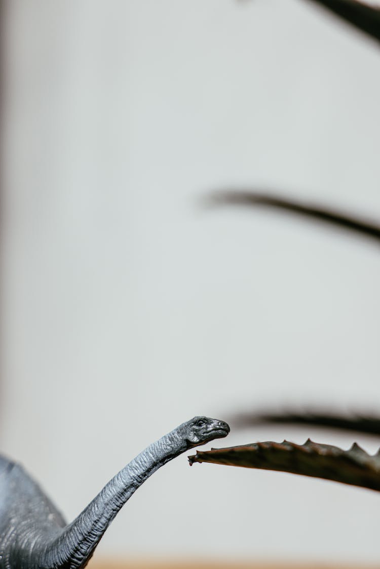 Close-up Of Plastic Dinosaur Toy 