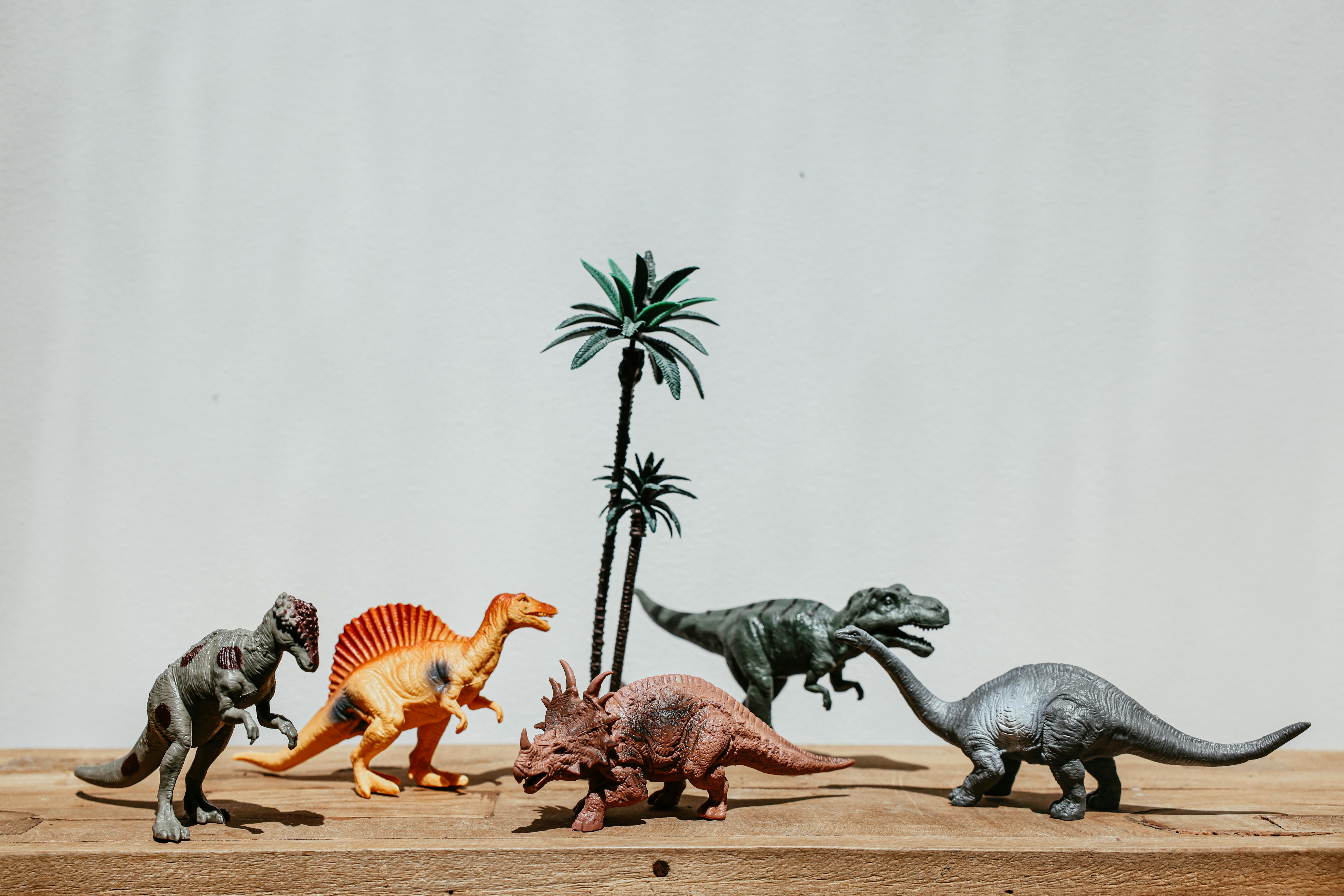 Free Four Gray and Orange Dinosaur Toys Stock Photo