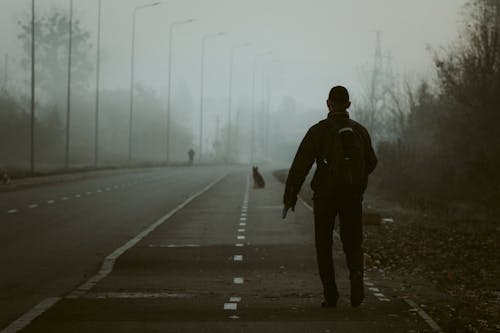 Kostnadsfri bild av asfalt, dimma, dimmig
