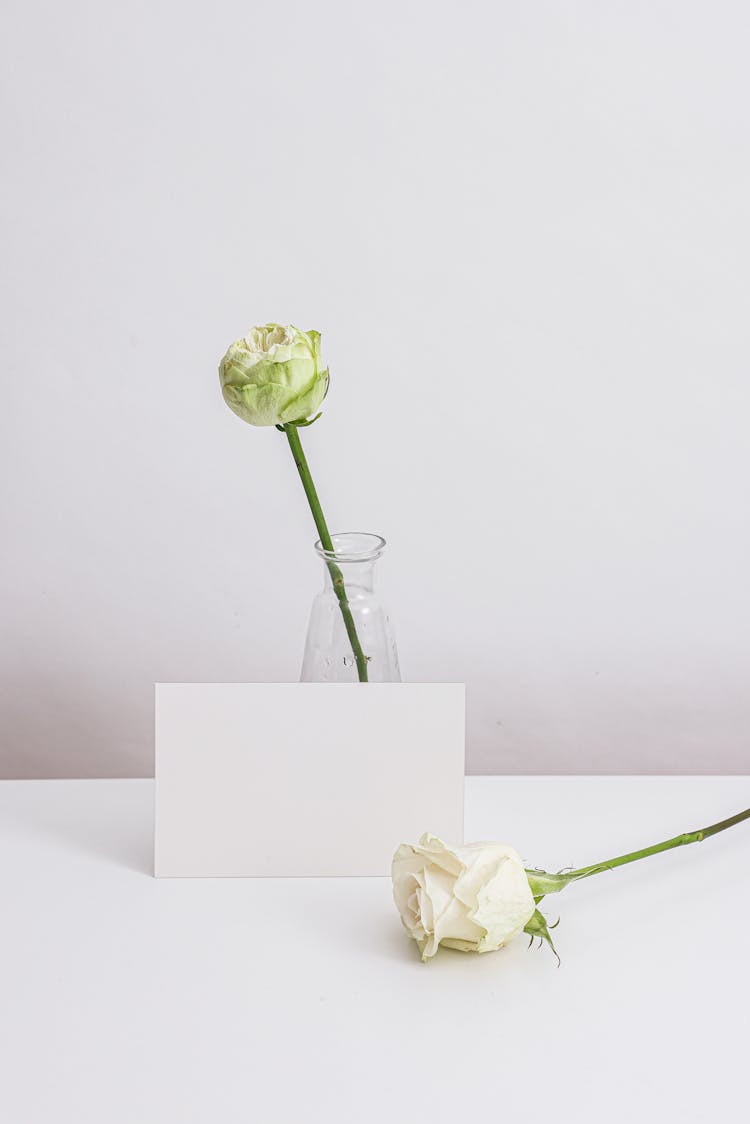 
White Roses And A Blank Card