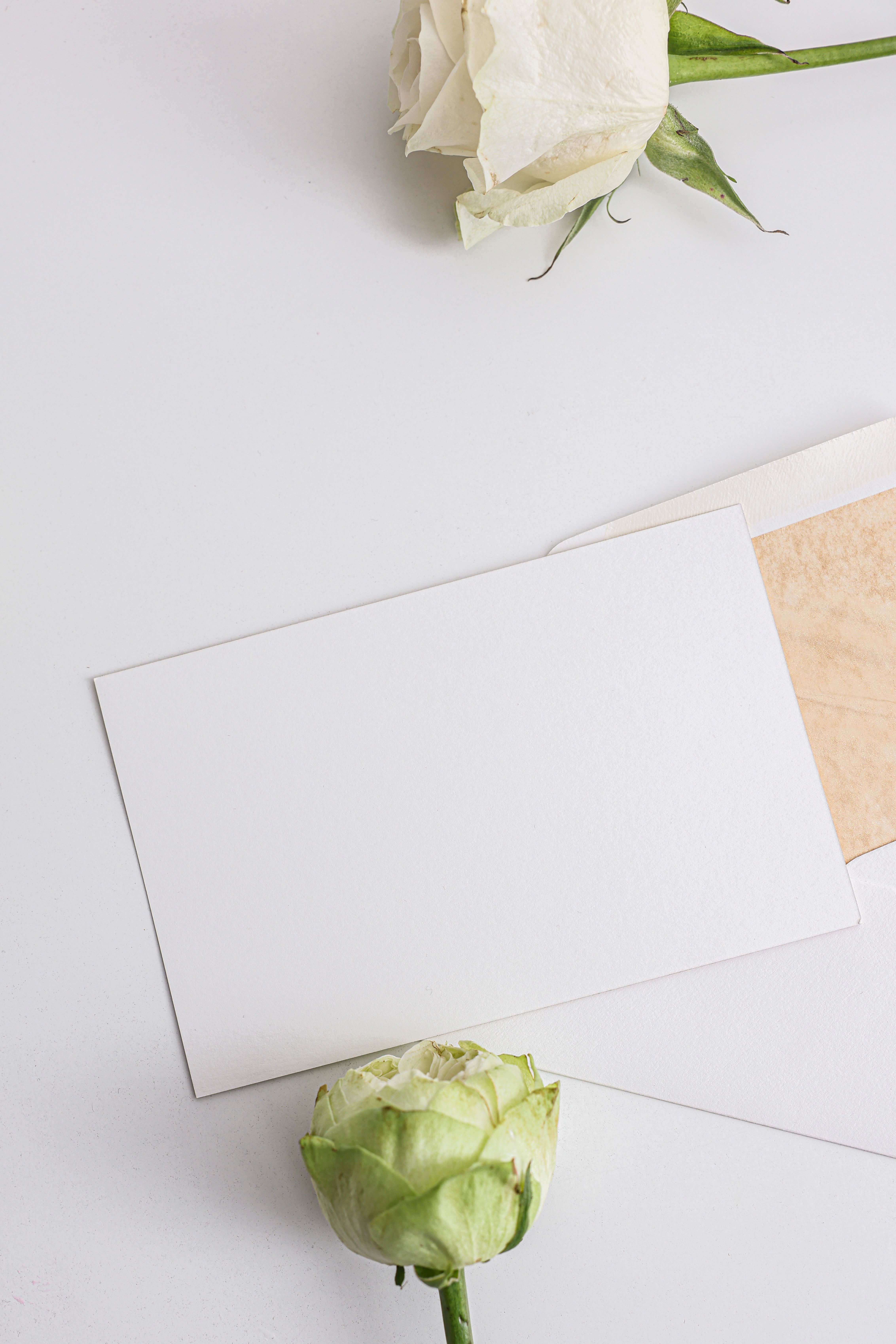 Message Card Photos, Download The BEST Free Message Card Stock Photos ...