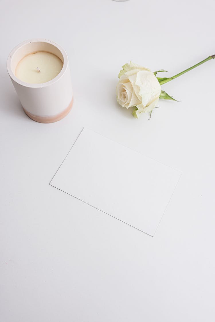 A White Rose Near The Candle