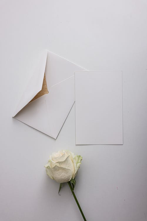 Free Two White Envelopes and a White Rose on a White Surface Stock Photo