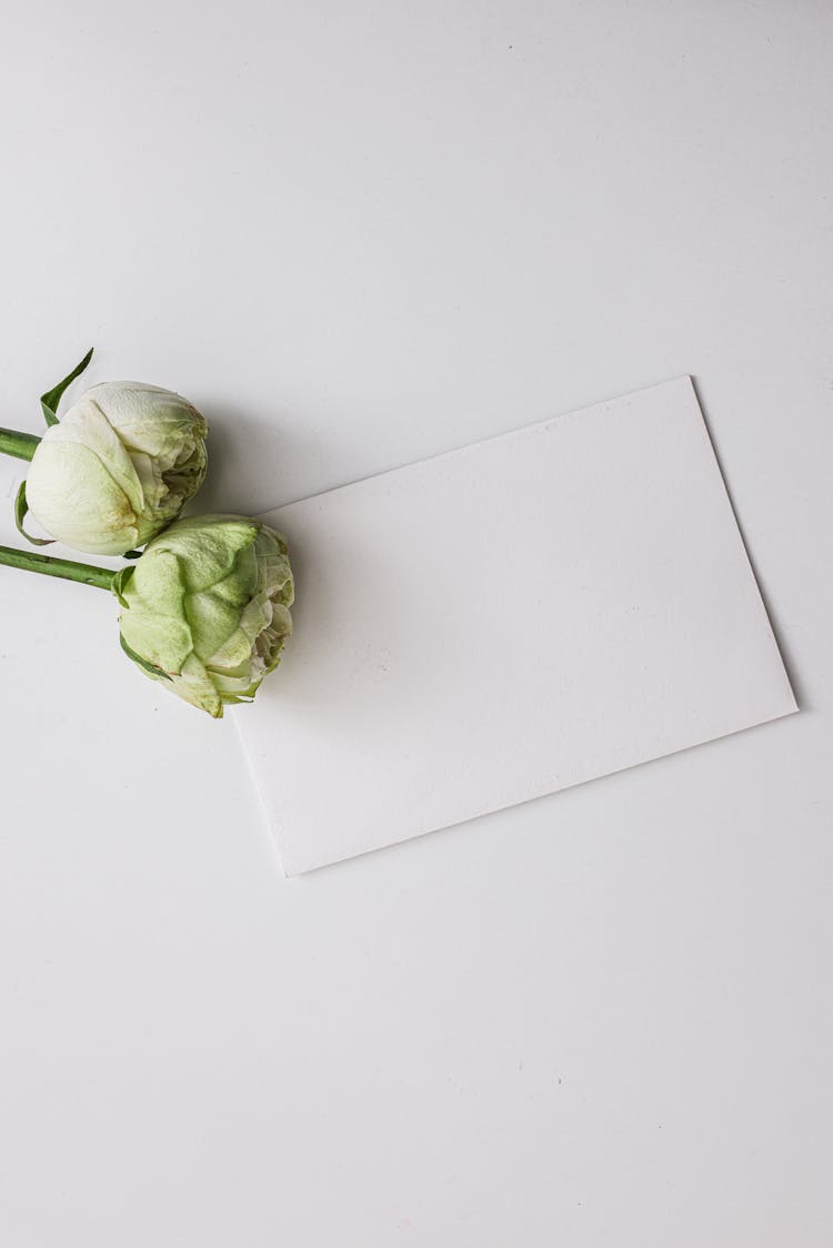 Flowers And A Blank Card