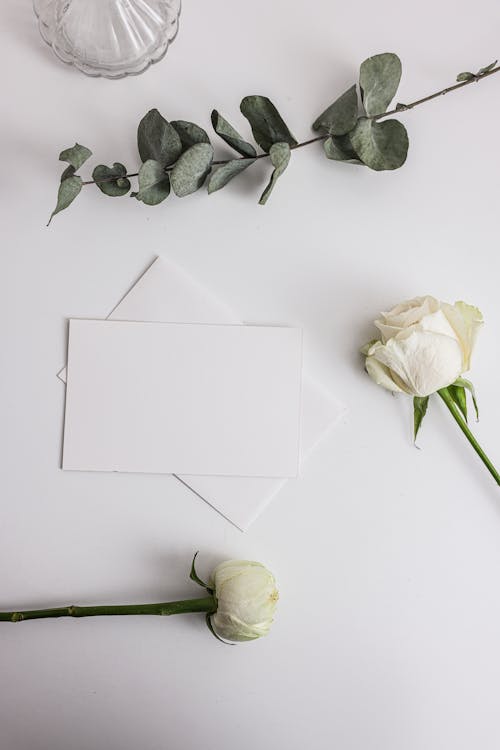 Free White Flowers on the Table Stock Photo