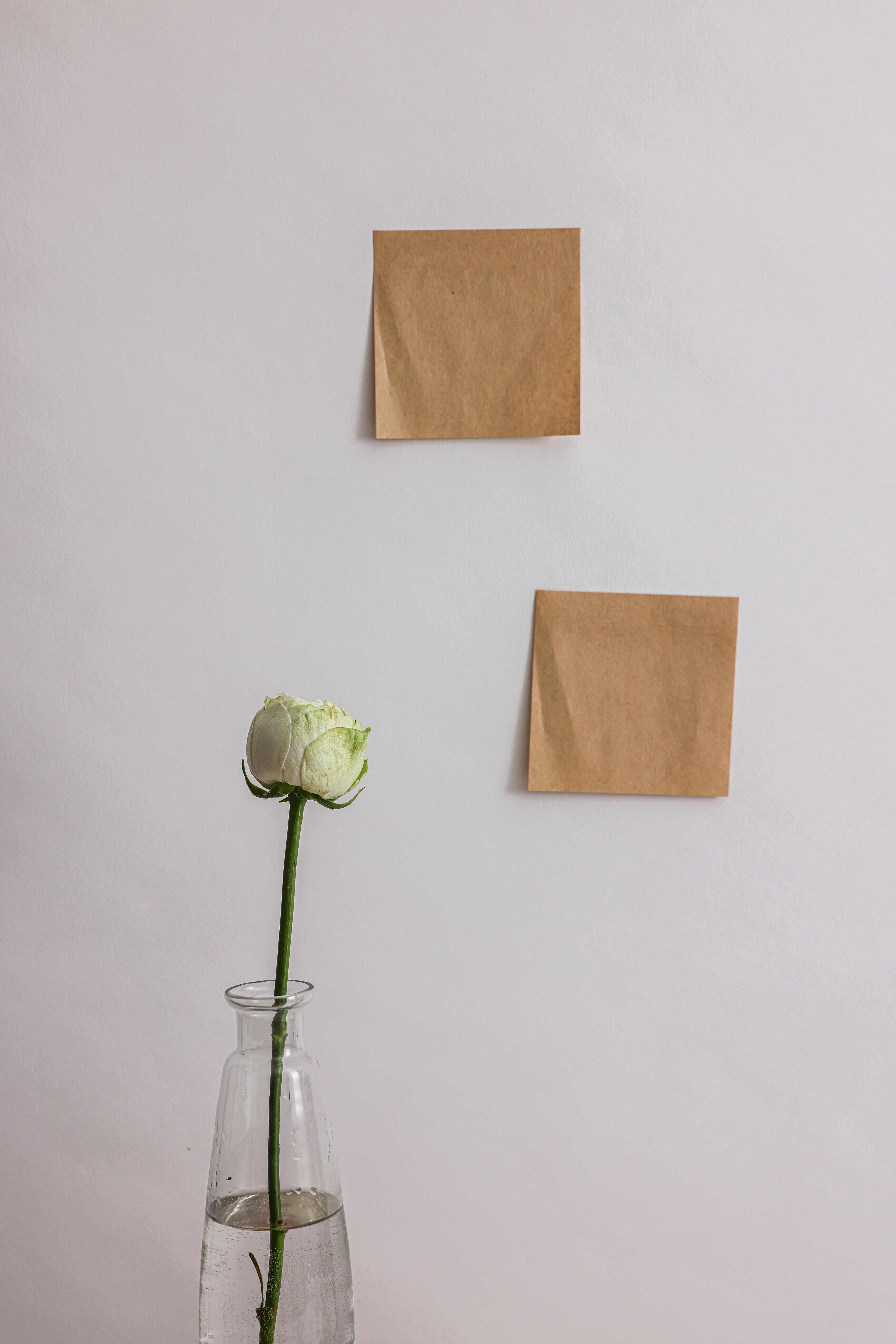 Private Label Rights