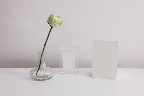 White Roses in the Glass Vase