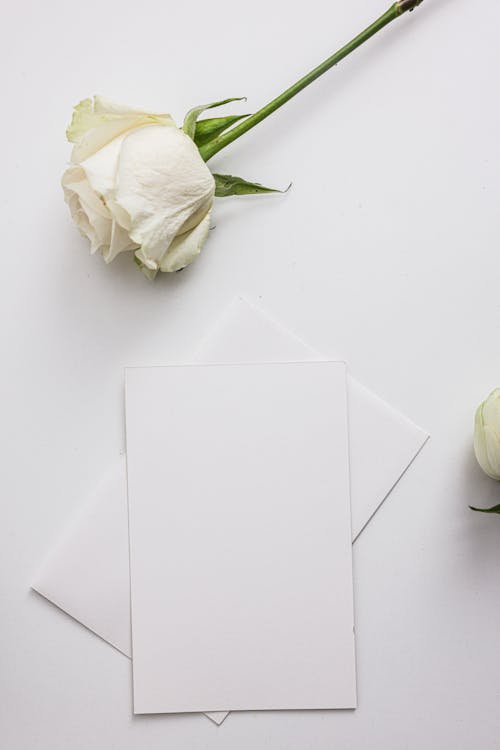 Free White Paper on the Table Stock Photo