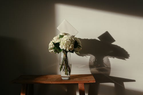 Free White Flowers in the Glass Vase Stock Photo