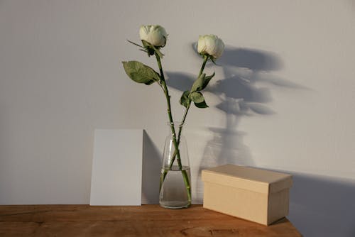 Box and White Flowers Beside a Blank Card