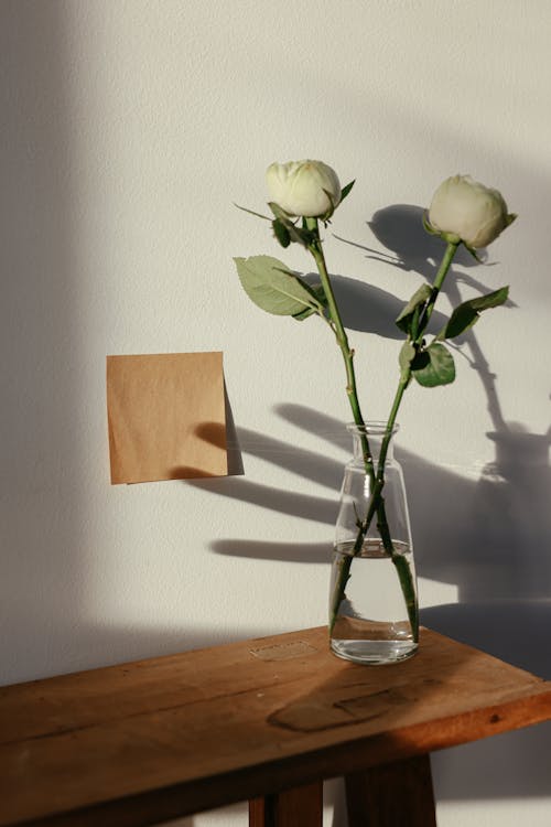 Fotobanka s bezplatnými fotkami na tému biele ruže, drevený stôl, hnedo-paper