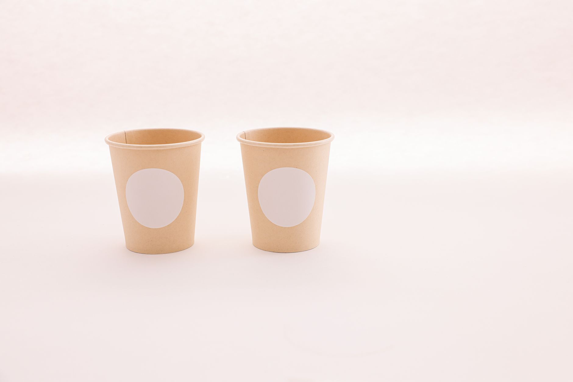 biodegradable packaging materials on a clean production table