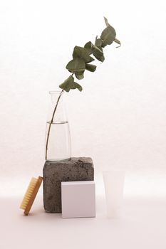 A minimalist composition featuring eucalyptus, a brush, and beauty products on a white background.