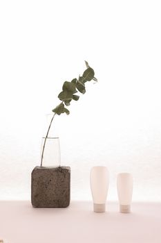 Elegant minimalist still life featuring skincare bottles and eucalyptus on white background.