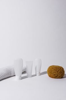 Simple arrangement of bottles, sponge, and towel on a clean white background.