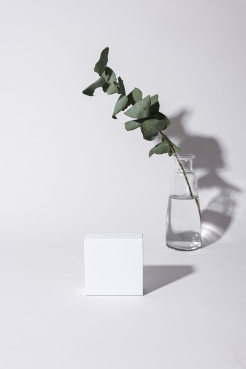 Free A minimalist aesthetic featuring a glass vase with eucalyptus on a neutral background, perfect for home decor inspiration. Stock Photo