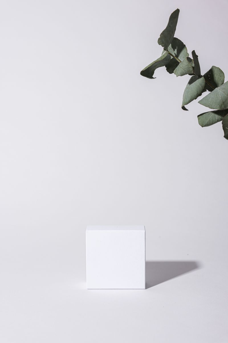 Elegant minimalist mockup featuring a white cube and eucalyptus leaves on a white background.