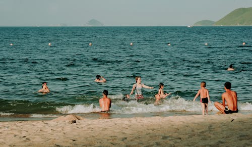 무료 해변에서 수영하는 사람들의 사진 스톡 사진