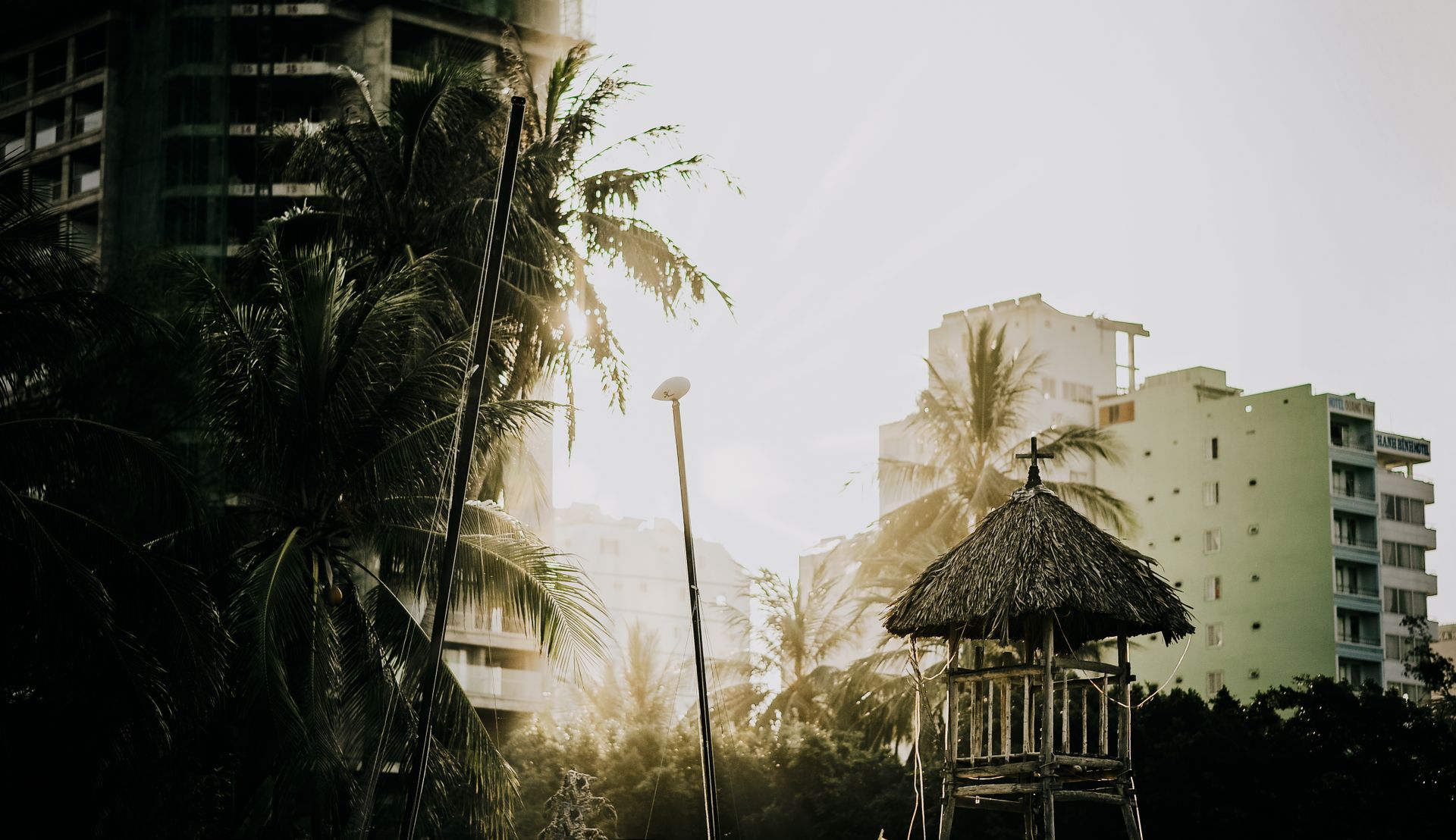 Sunlit cityscape with palm trees and rustic tower against urban backdrop.