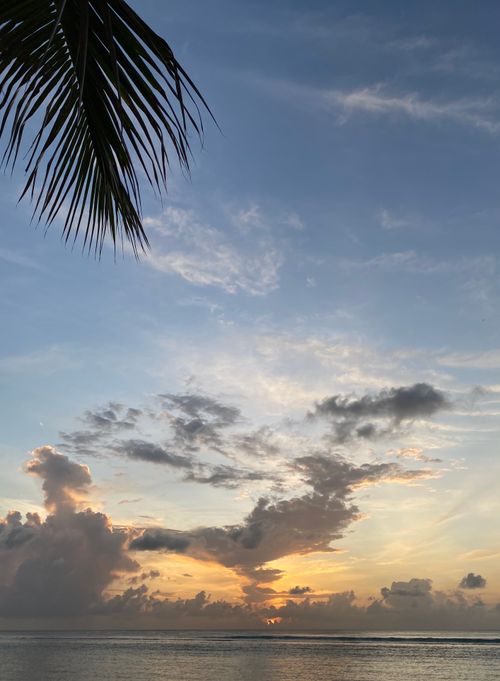 Free Stunning tropical sunset with palm silhouette over calm sea and colorful sky. Stock Photo